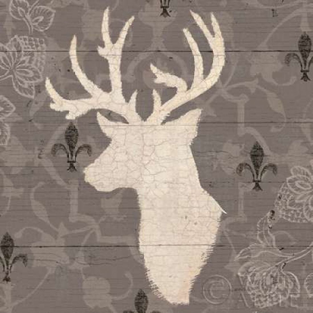 Posterazzi Rustic Elegance II Canvas Art - James Wiens (24 x 24)