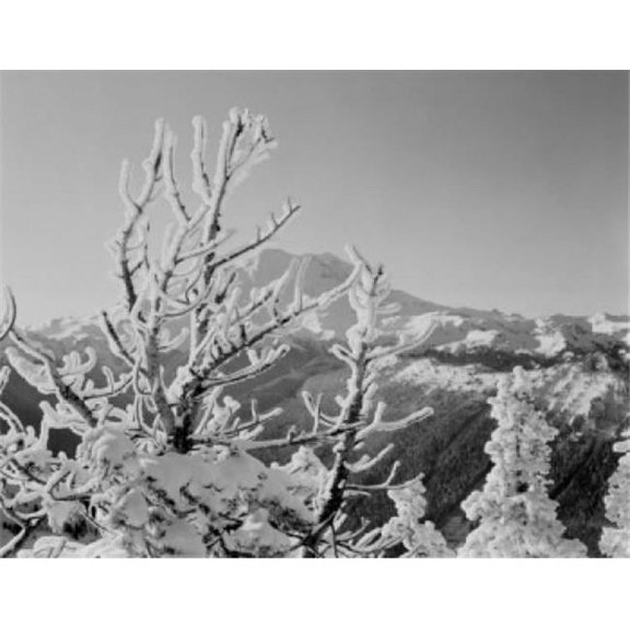 Posterazzi SAL255422245 USA Winter Scene with Mount Ranier in Background Poster Print - 18 x 24 in.