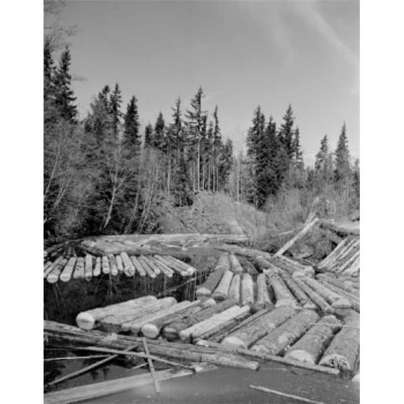 Posterazzi SAL255423841 Tree Logs Floating on Water Poster Print - 18 x 24 in.