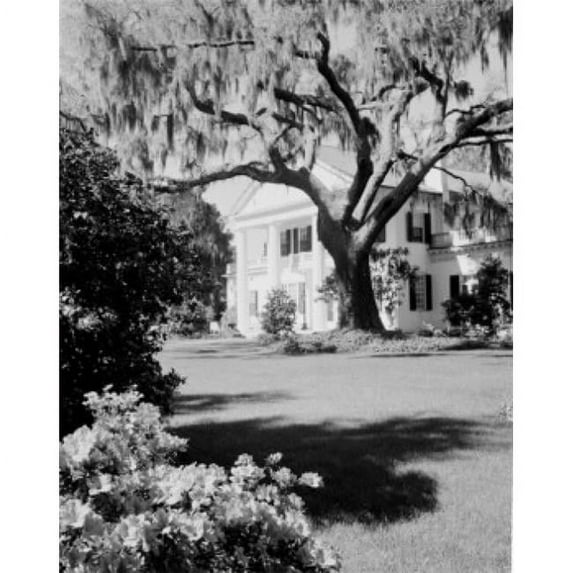 Posterazzi SAL255424075 USA North Carolina Wilmington Orton Plantation Home with Large Live Oak & Spanish Moss Poster Print - 18 x 24 in.