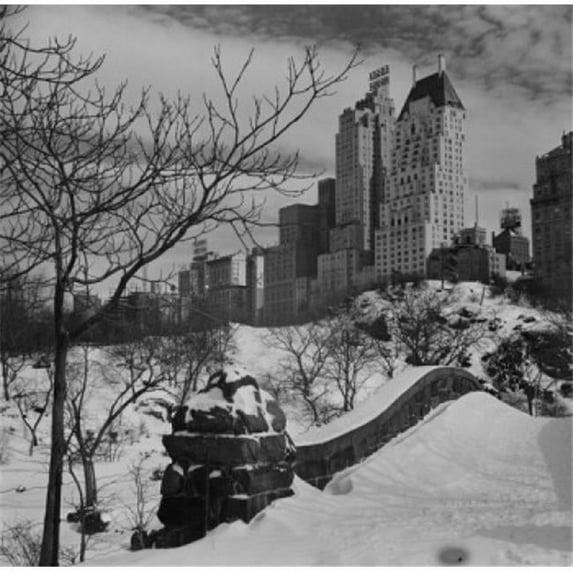 Posterazzi SAL255424344 USA New York City Central Park in Winter Poster Print - 18 x 24 in.