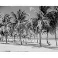 thumbnail image 1 of Posterazzi SAL255424348 USA Florida Miami Key Biscayne Crandon Park Beach with Palm Trees Poster Print - 18 x 24 in., 1 of 1