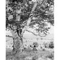 thumbnail image 1 of Posterazzi SAL255424502 USA Vermont Saxton River Two Women Sitting Under Huge Birch Poster Print - 18 x 24 in., 1 of 1