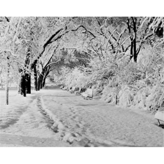 Posterazzi SAL255424891 Park in Winter Poster Print - 18 x 24 in.