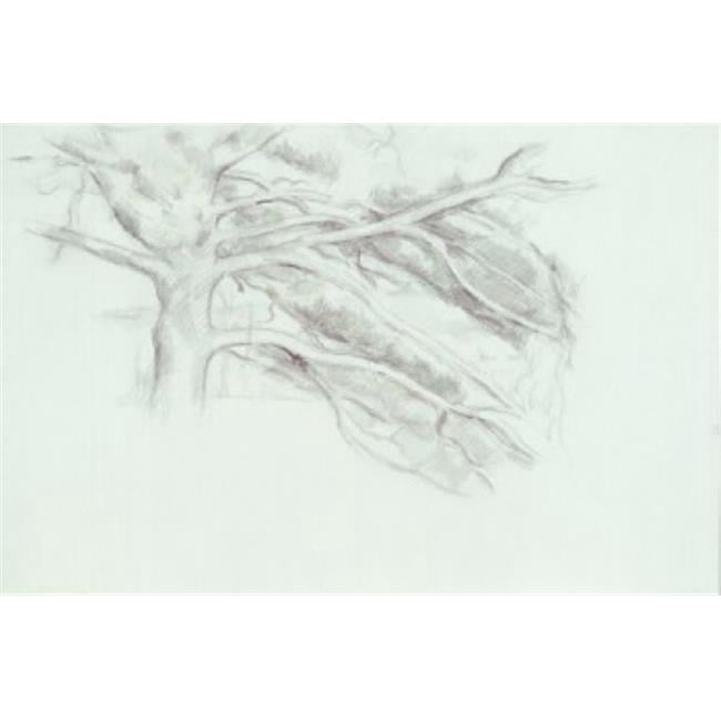Posterazzi SAL260265 Le Grand Arbe by Paul Cezanne Drawing 1839-1906 Poster Print - 18 x 24 in.
