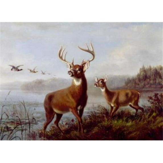 Posterazzi SAL900128646 Buck & Doe Alerted by Arthur Fitzwilliam Tait 1819-1905 Poster Print - 18 x 24 in.