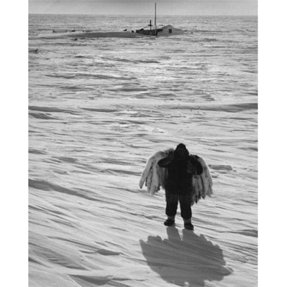 Posterazzi SAL990118186 Rear View of a Person Carrying Polar Bear Skins Poster Print - 18 x 24 in.