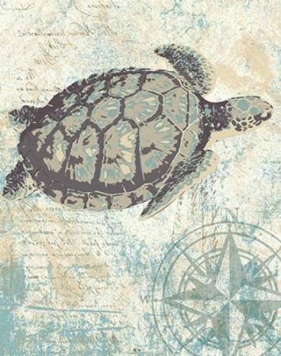 Posterazzi SEA TURTLES I Canvas Art - Piper Ballantyne (22 x 28)