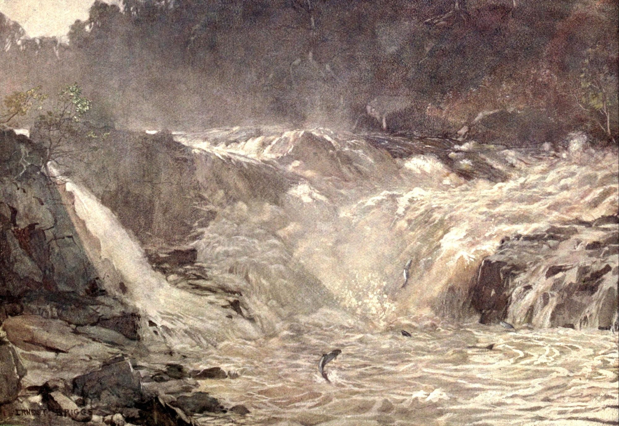 Posterazzi Salmon Rivers & Lochs of Scotland 1909 Falls of Tummel Canvas Art - Ernest Briggs (24 x 36)