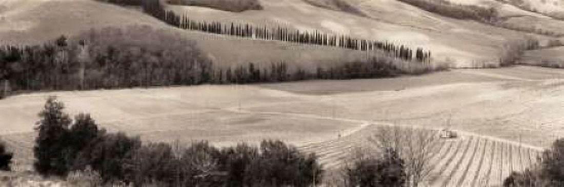 Posterazzi San Gimignano Italia Canvas Art - Alan Blaustein (12 x 36)