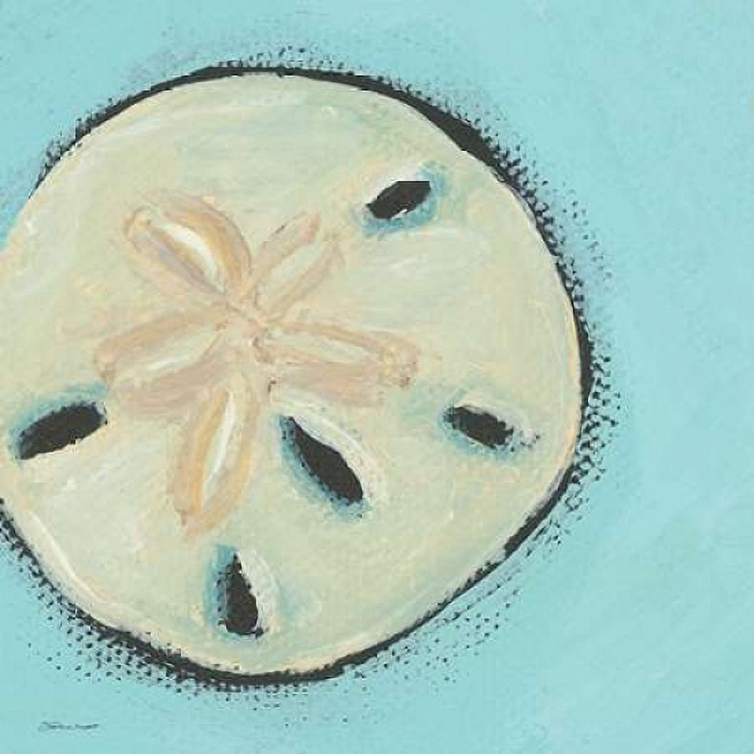 Posterazzi Sand Dollar Canvas Art - Stephanie Marrott (24 x 24)