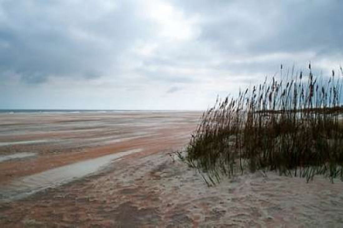 Posterazzi Sand Dunes II Canvas Art - Chuck Burdick (24 x 36)