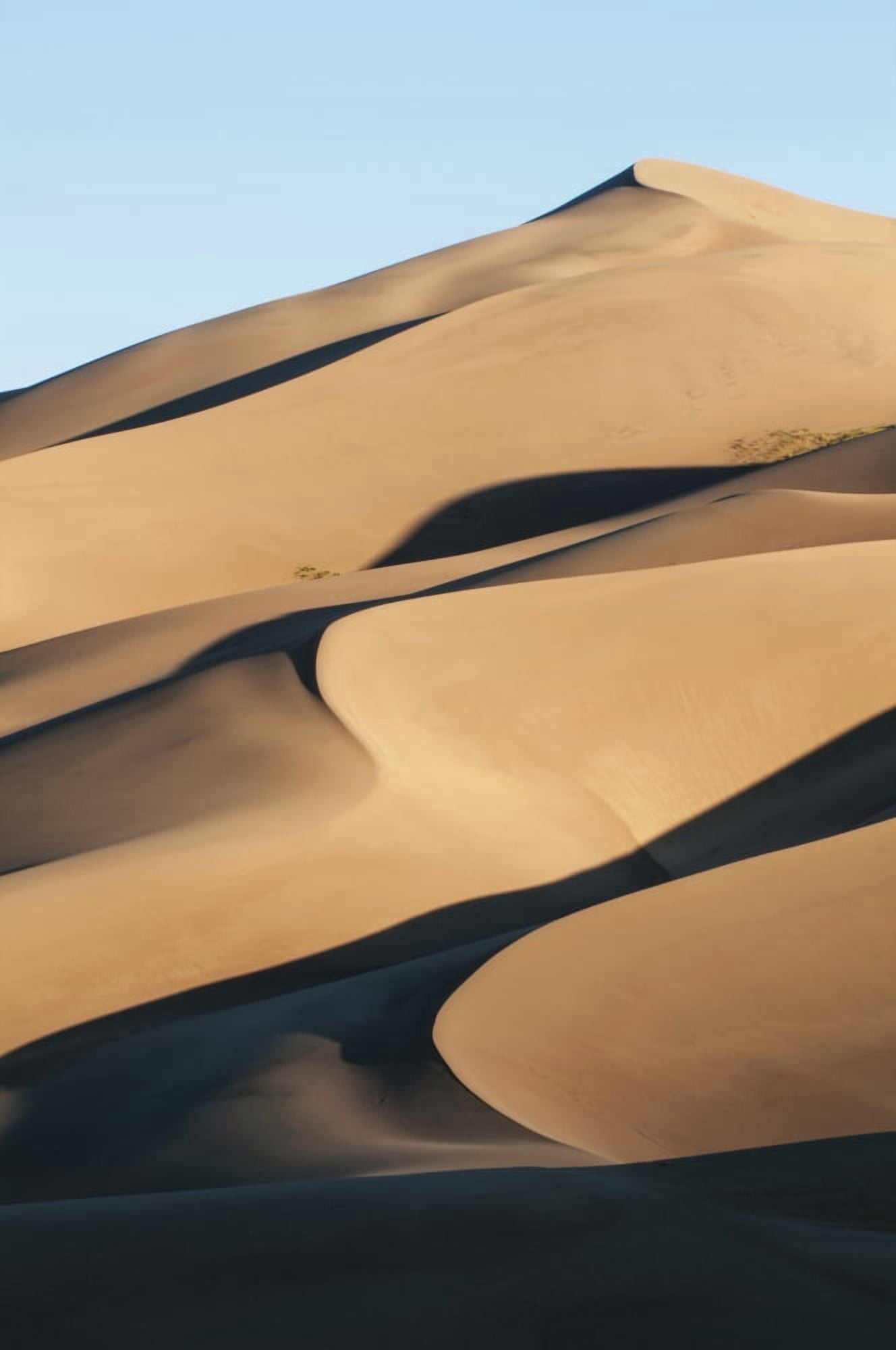 Posterazzi Sand dunes in morning light Great Sand Dunes National Park Colorado United States of America Canvas Art - Carl Johnson Design Pics (24 x 38)