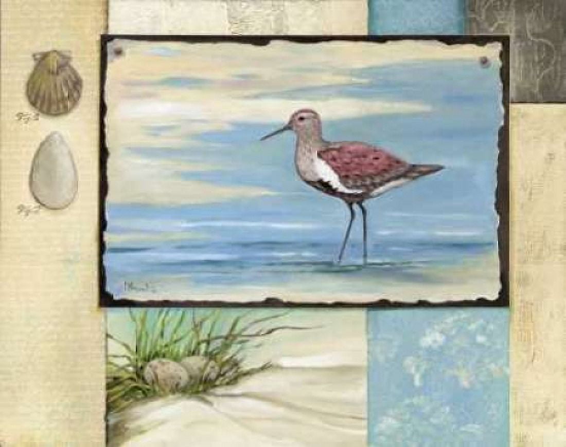 Posterazzi Sandpiper Collage II Canvas Art - Paul Brent (24 x 30)