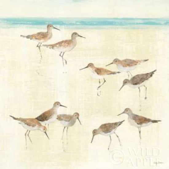 Posterazzi Sandpipers Canvas Art - Avery Tillmon (24 x 24)