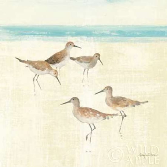 Posterazzi Sandpipers Square I Canvas Art - Avery Tillmon (24 x 24)