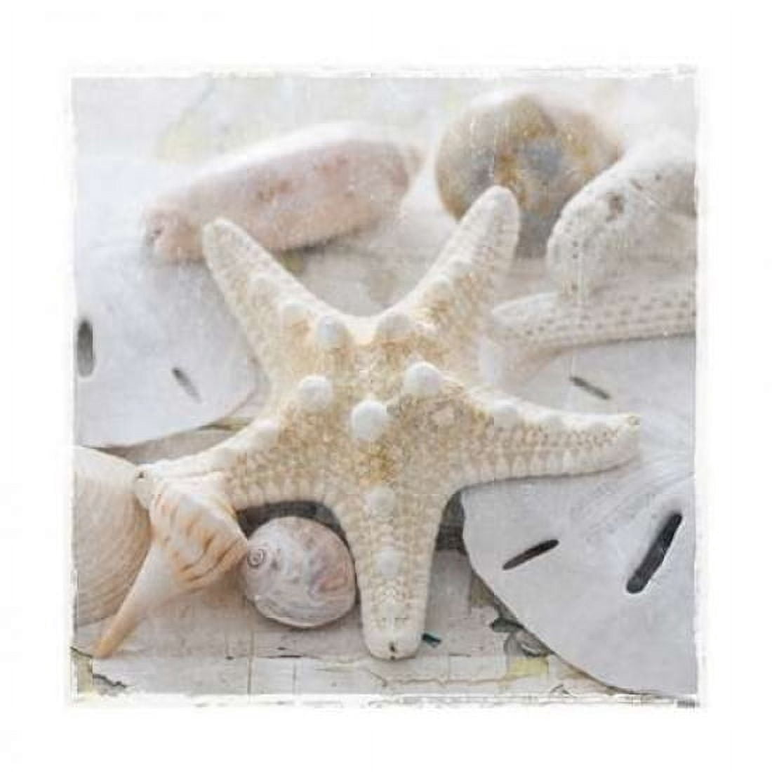 Posterazzi Sanibel I Canvas Art - Sally Jackson (24 x 24)