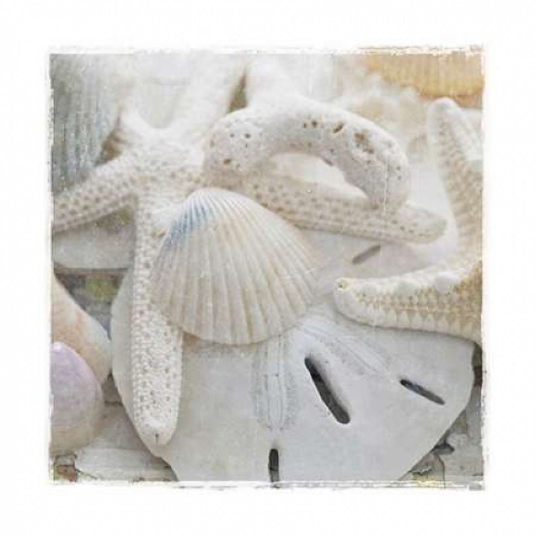 Posterazzi Sanibel III Canvas Art - Sally Jackson (24 x 24)