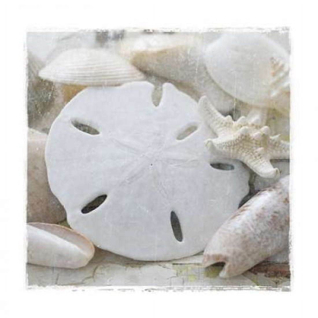 Posterazzi Sanibel IV Canvas Art - Sally Jackson (24 x 24)