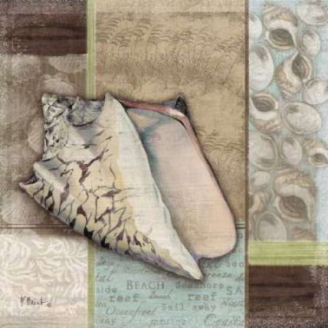 Posterazzi Santa Rosa Shell I Canvas Art - Paul Brent (24 x 24)