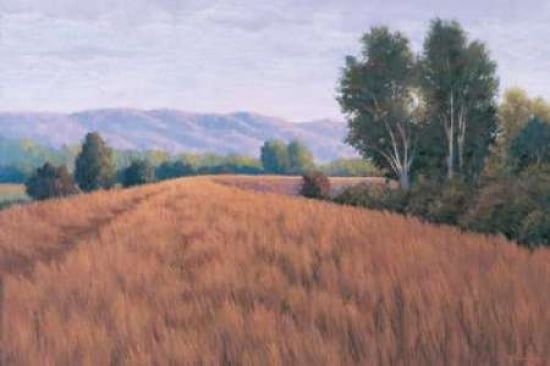 Posterazzi Sauvie Island I Canvas Art - Allan Stephenson (24 x 36)