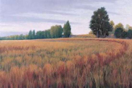 Posterazzi Sauvie Island II Canvas Art - Allan Stephenson (24 x 36)
