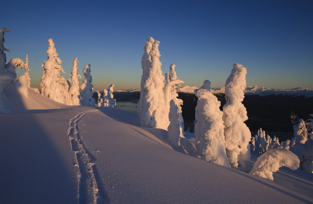 Posterazzi Scenic Sunrise In Winter With Ski Tracks In The Foreground Wrangell Island Southeast Alaska Canvas Art - Quentin Smith Design Pics (34 x 22)