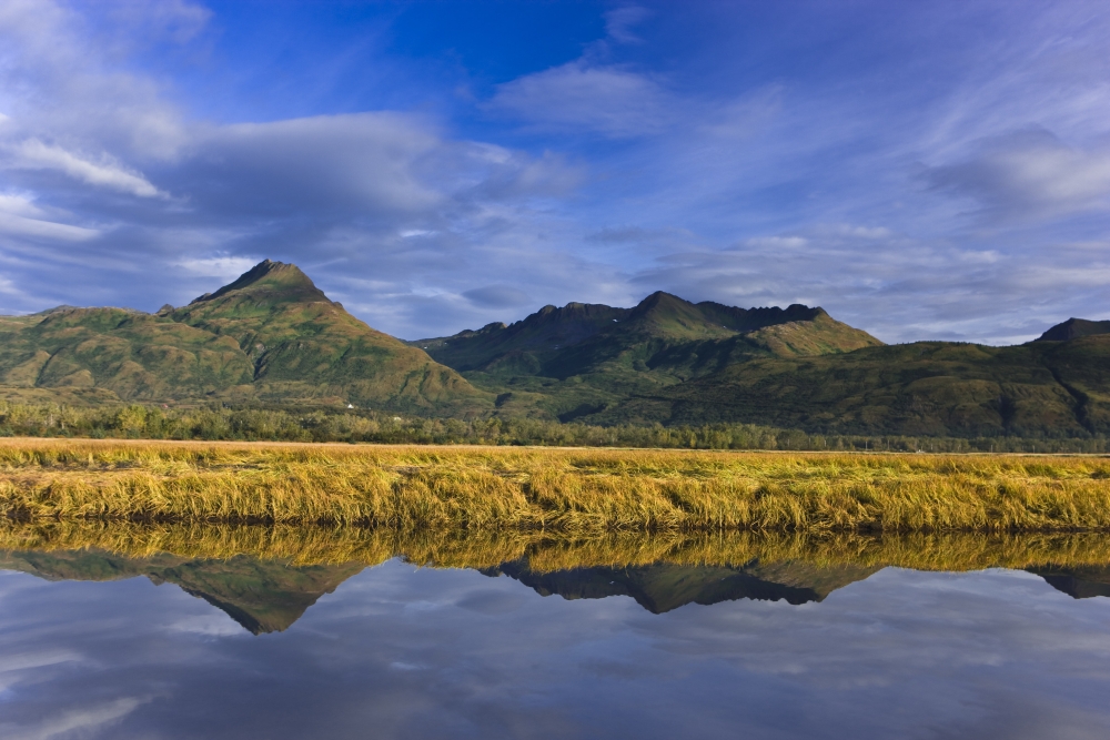 Posterazzi Scenic View Of Tidal Slough Along Womens Bay Kodiak Island Southwest Alaska Fall Canvas Art - Kevin Smith Design Pics (36 x 24)
