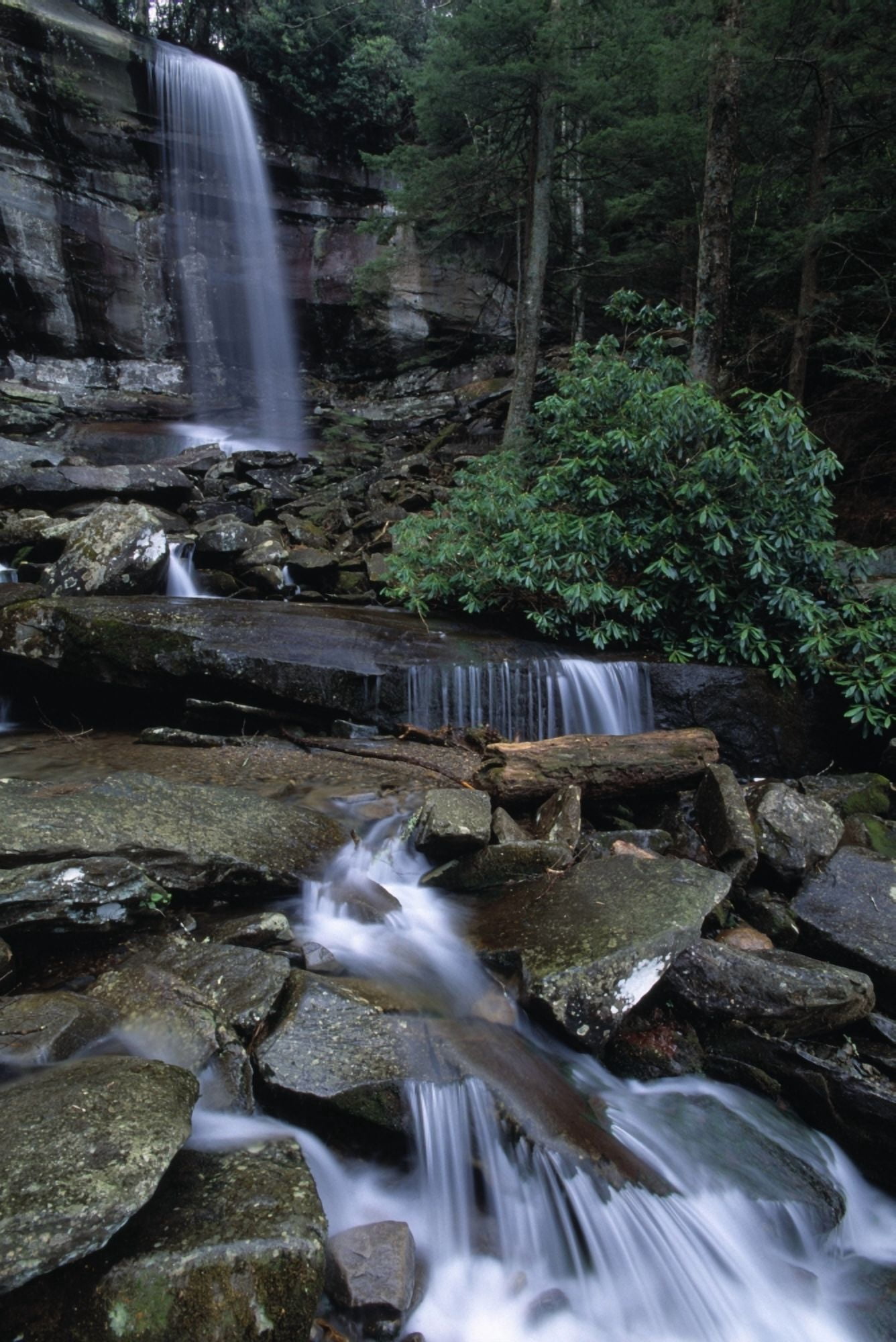 Posterazzi Scenic Waterfall Canvas Art - Natural Selection Robert Cable Design Pics (24 x 36)