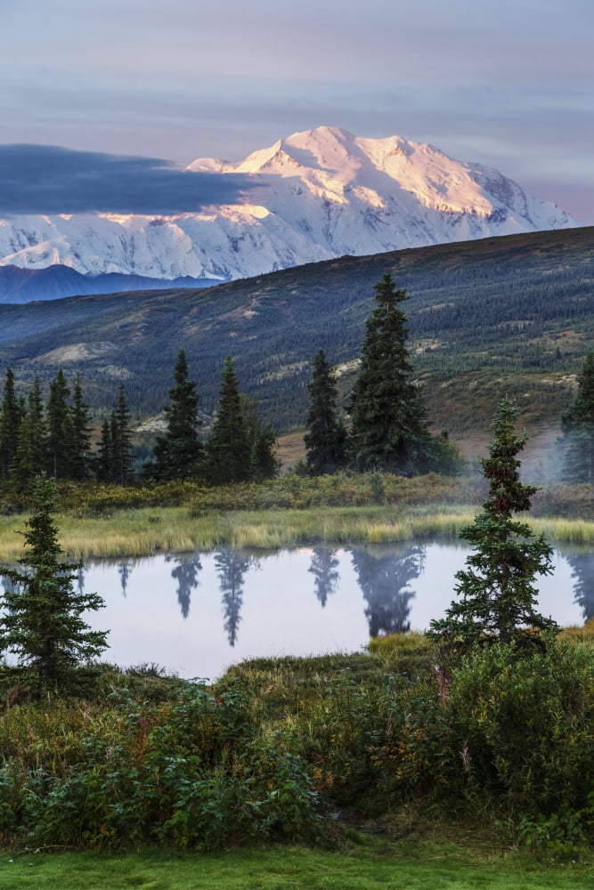 Posterazzi Scenic sunrise view of Denali with a tundra pond in the foreground Denali National Park Interior Alaska Autumn Canvas Art - Jeff Schultz Design Pics (24 x 38)