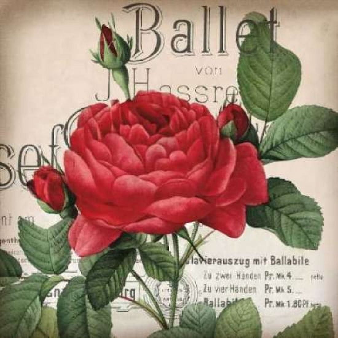 Posterazzi Scent of a Rose I Canvas Art - Sabine Berg (24 x 24)