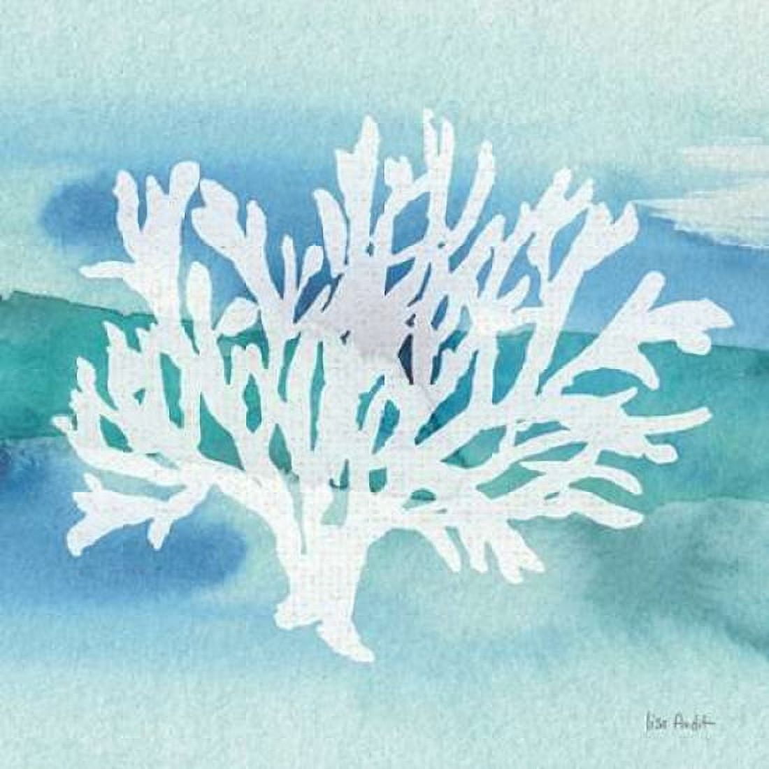 Posterazzi Sea Life Coral II Canvas Art - Lisa Audit (24 x 24)