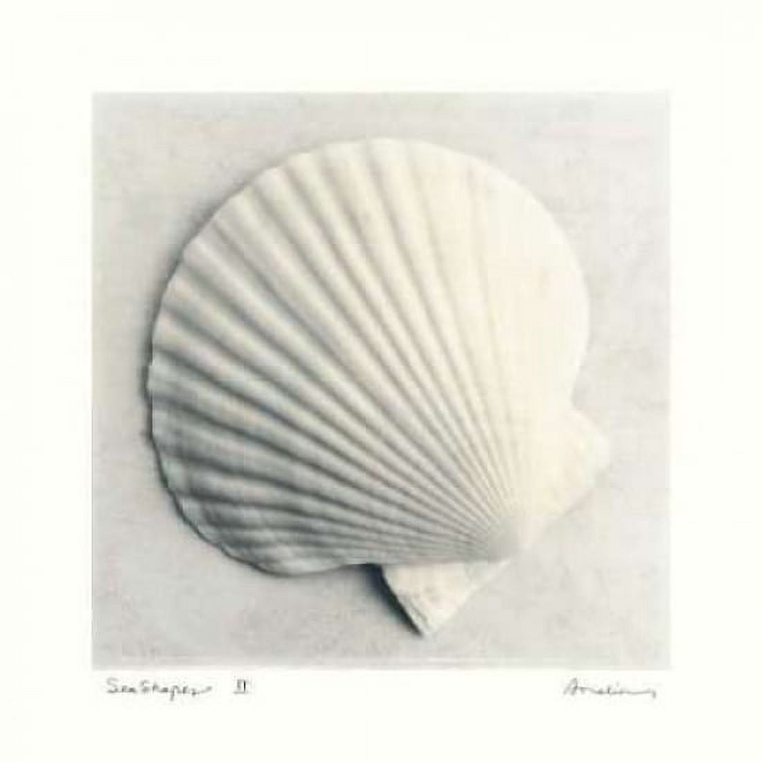 Posterazzi Sea Shapes II Canvas Art - Amy Melious (24 x 24)