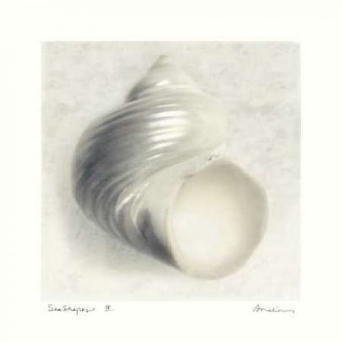Posterazzi Sea Shapes IV Canvas Art - Amy Melious (24 x 24)