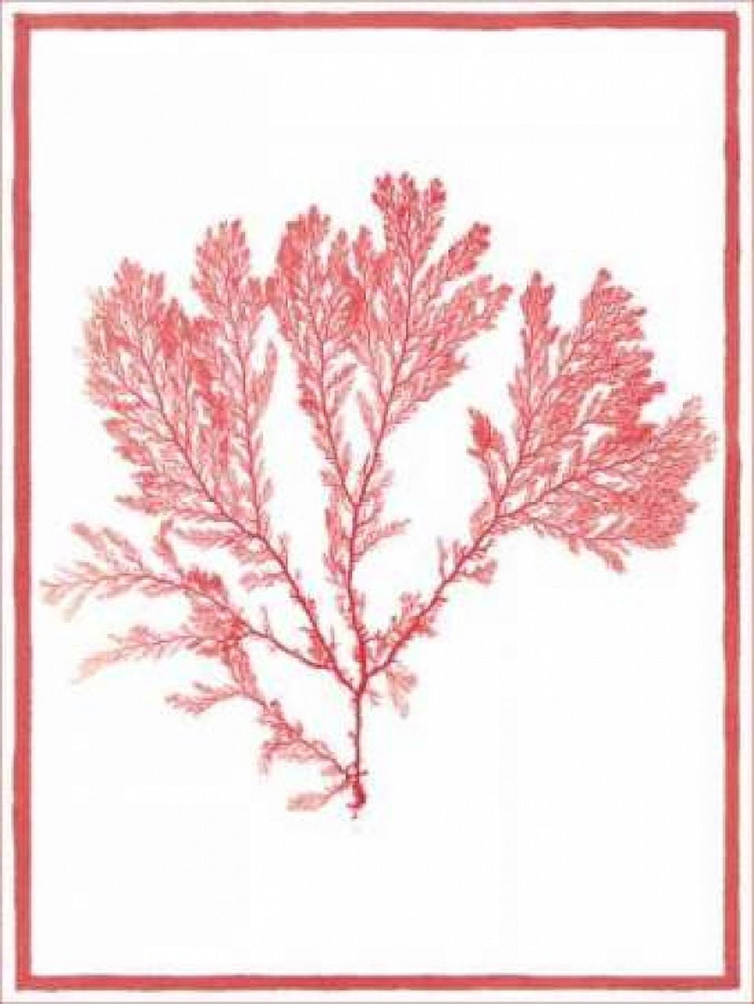 Posterazzi Sea Things I Canvas Art - Sarah E Chilton (18 x 24)