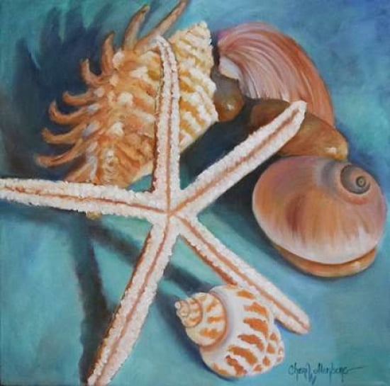 Posterazzi Seashells and Rocks #4 Canvas Art - Cheri Wollenberg (24 x 24)
