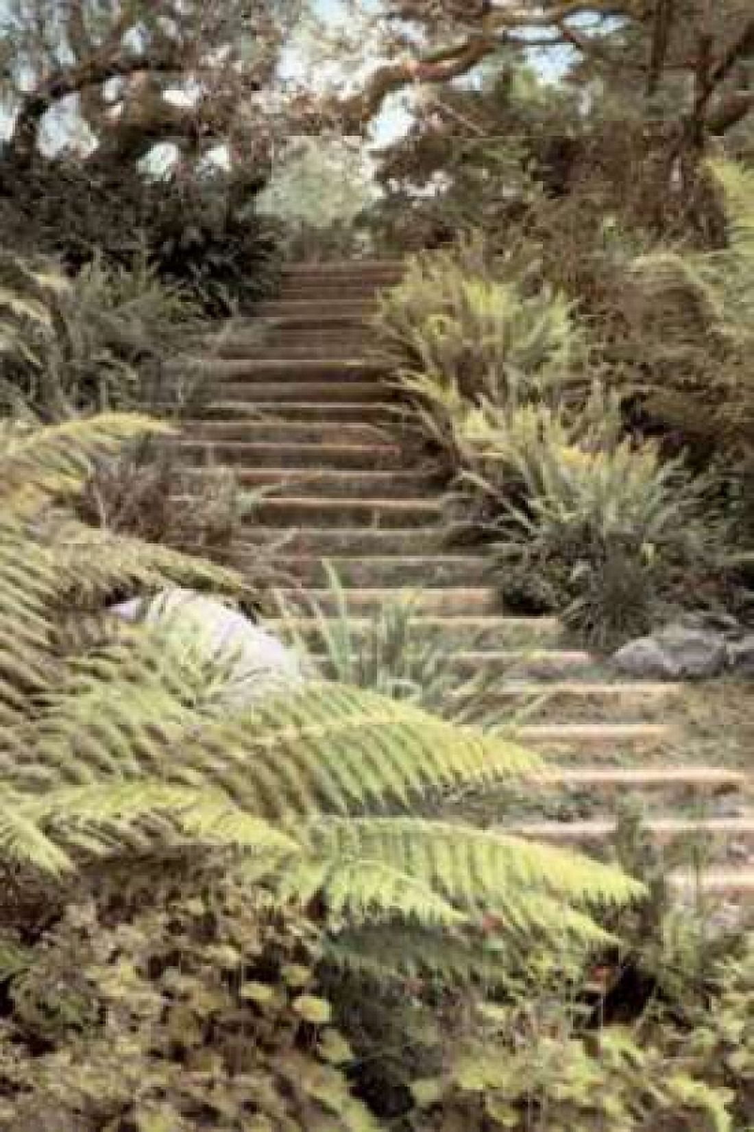 Posterazzi Secret Steps Canvas Art - Laura Culver (24 x 36)