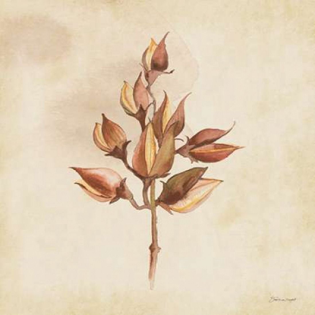 Posterazzi Seeds In Fall Canvas Art - Stephanie Marrott (24 x 24)