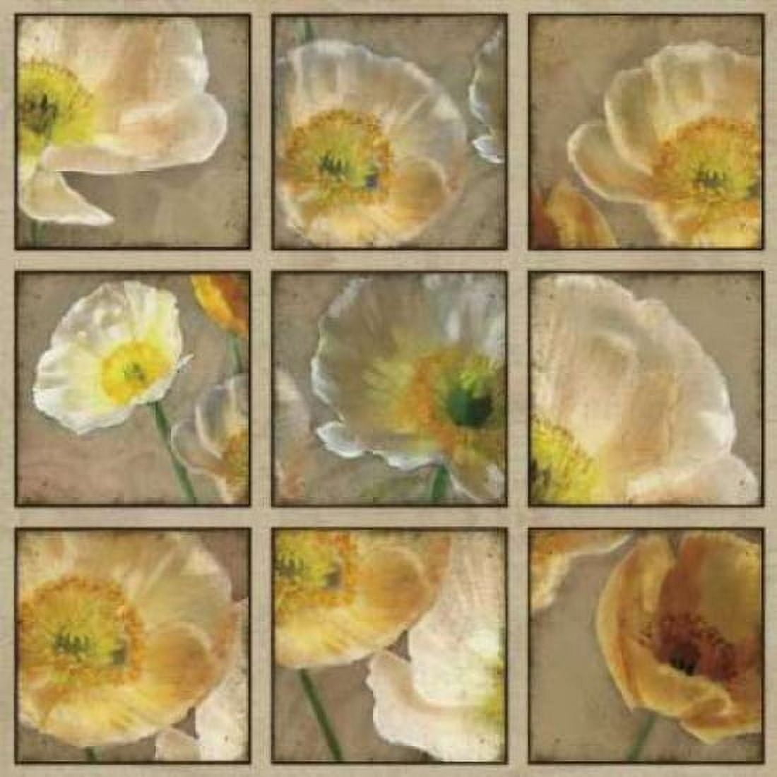 Posterazzi Shades of Poppies Canvas Art - Janel Pahl (24 x 24)