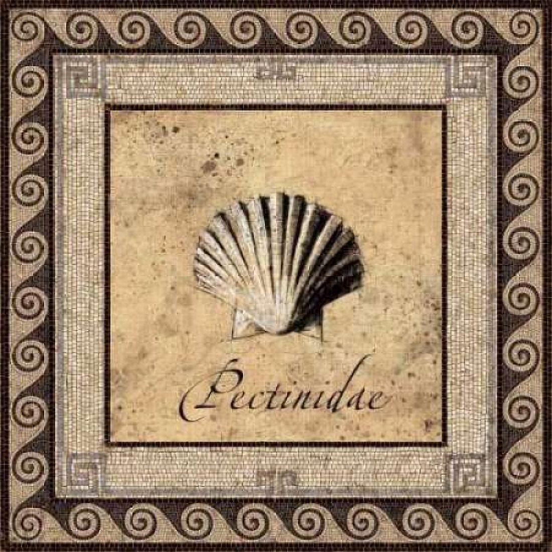 Posterazzi Shell Works II Canvas Art - Paul Panossian (24 x 24)