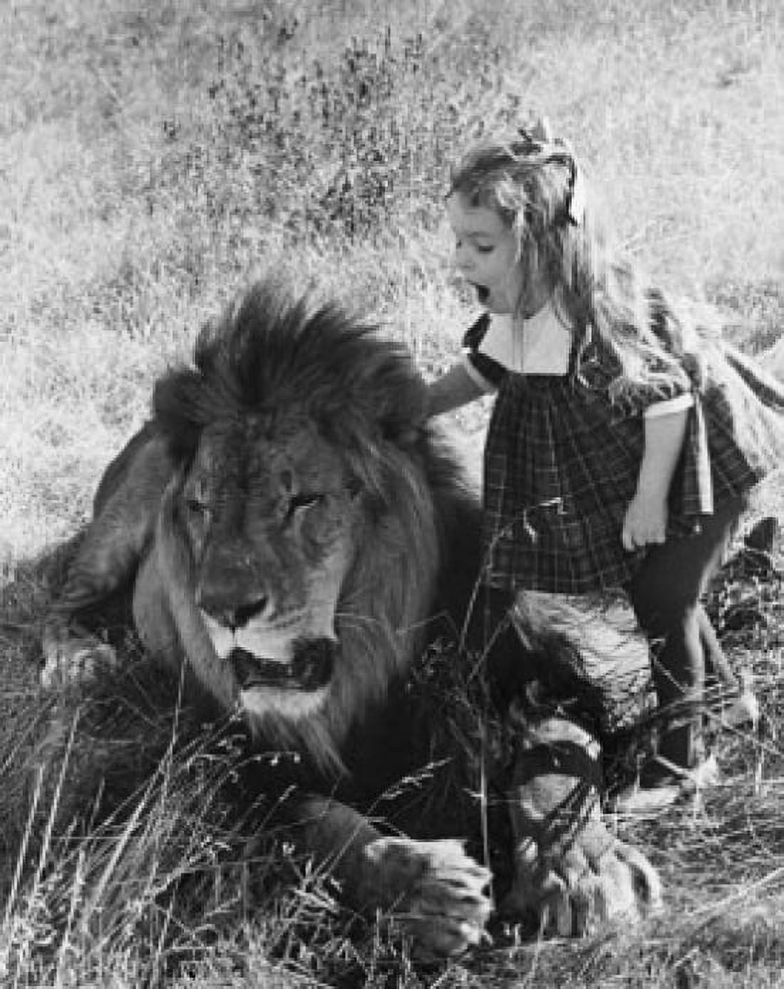 Posterazzi Side profile of a girl standing near a lion (Panthera leo) Canvas Art - (24 x 36)