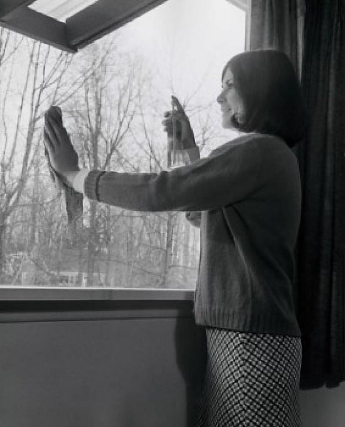 Posterazzi Side profile of a young woman cleaning a window Canvas Art -  (24 x 36)