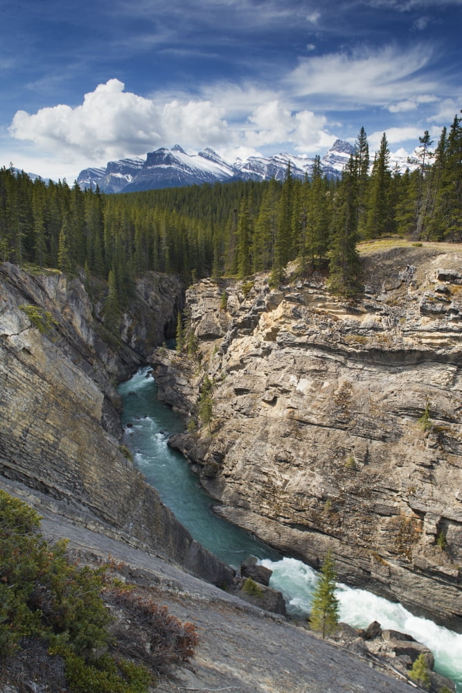 Posterazzi Siffluer River Canyon Bighorn Wildlands Canadian Rockies Alberta Canvas Art - Darwin Wiggett Design Pics (22 x 34)