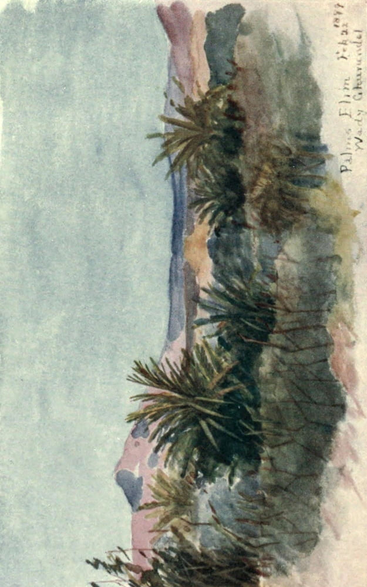 Posterazzi Sinai & Petra 1907 Elim Palms Canvas Art - Frances M Hornby (24 x 36)