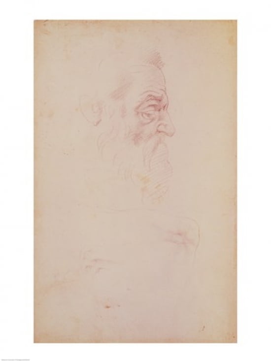 Posterazzi Sketch of a male head and two legs Canvas Art - Michelangelo Buonarroti (24 x 36)