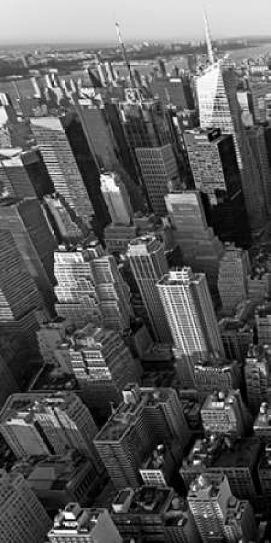 Posterazzi Skyscrapers in Manhattan I Canvas Art - Vadim Ratsenskiy (10 x 20)