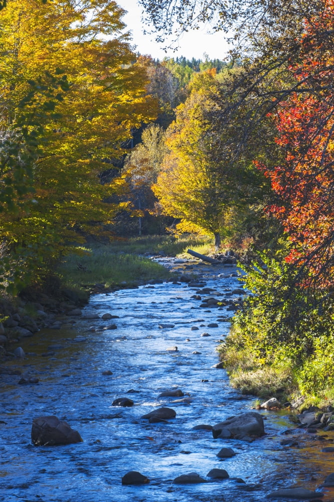 Posterazzi Small river with rocks in autumn Ways Mills Quebec Canada Canvas Art - David Chapman Design Pics (24 x 38)
