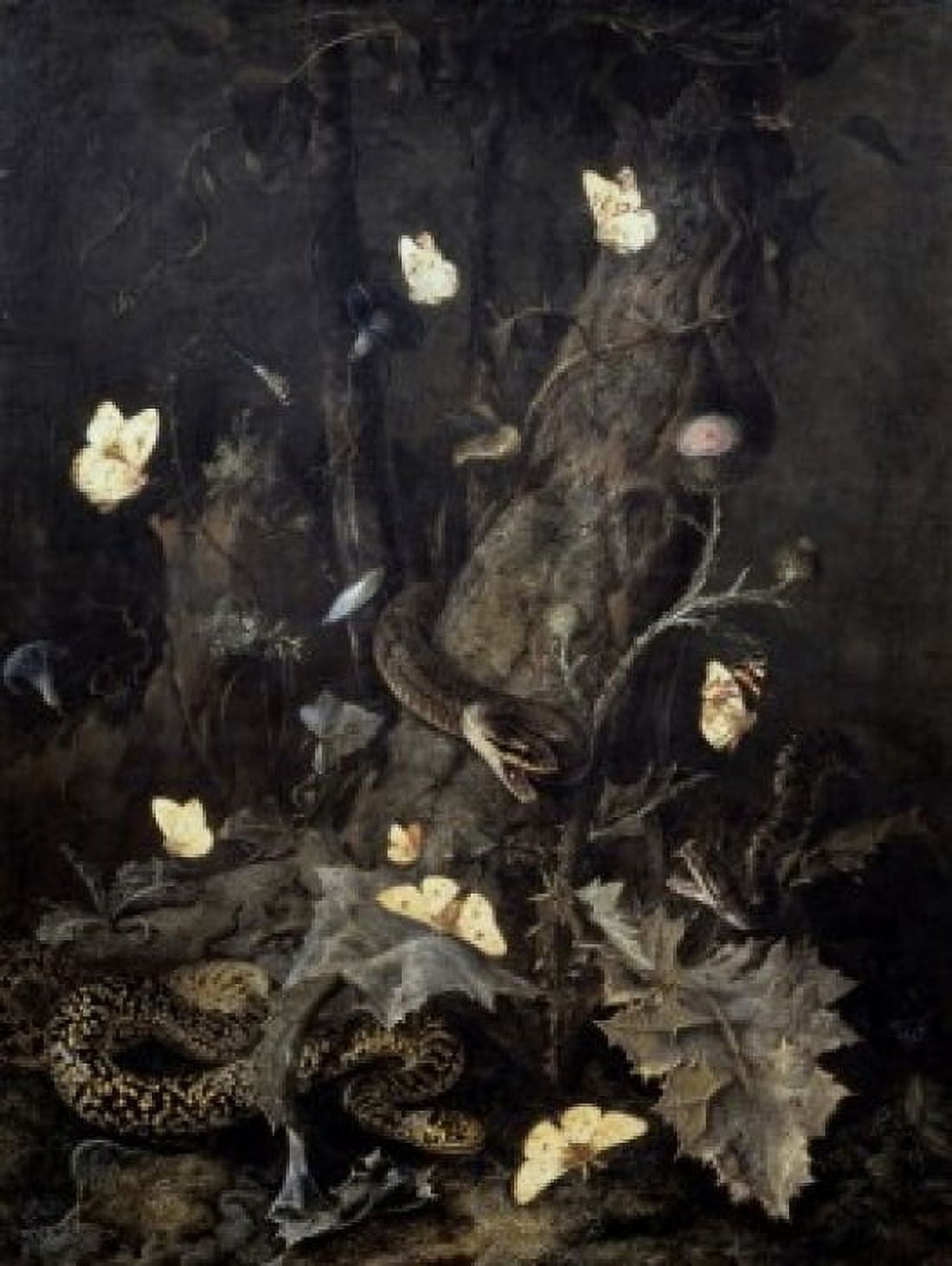 Posterazzi Snakes and Butterflies 17th C Otto Marseus van Schrieck (1619-1678Dutch) Musee du Louvre Paris Canvas Art - Otto Marseus van Schrieck (24 x 36)