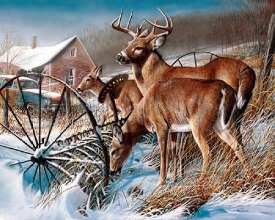 Posterazzi Snow Drifters Canvas Art - Kevin Daniel (24 x 30)