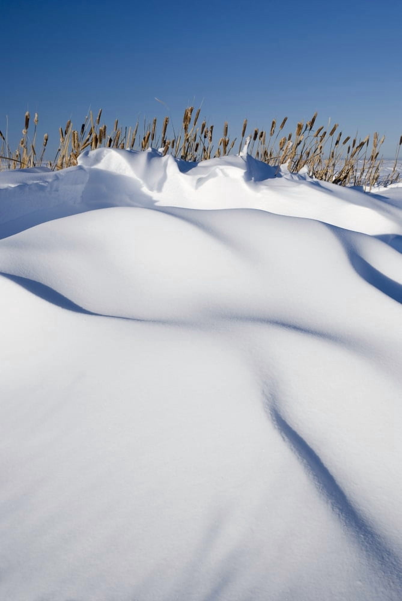 Posterazzi Snow Drifts On A Hill Canvas Art - Philippe Widling Design Pics (22 x 34)